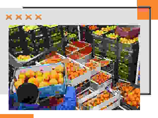 Перевозка скоропортящихся продуктов в Кимовске